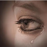 Pháp luật - Anh rể sát hại em vợ