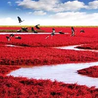 Du lịch - 22 cảnh đẹp ngỡ ngàng trên trái đất