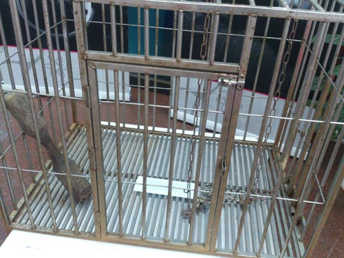 Chịu đánh đập để được tiếng “có chồng” - 5