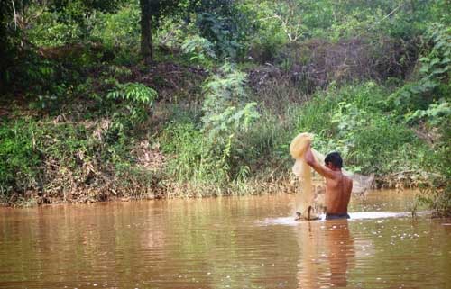 Bé 6 tuổi chết thảm dưới ao - 1