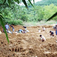 Tin tức trong ngày - Bác tin đào “kho vàng 2 tấn” ở Lai Châu