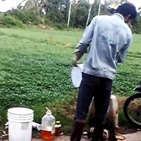 Sức khỏe đời sống - Kinh hoàng "tắm" hóa chất cho rau muống