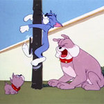 Video funny TOM & JERRY: Tom gặp “đối”