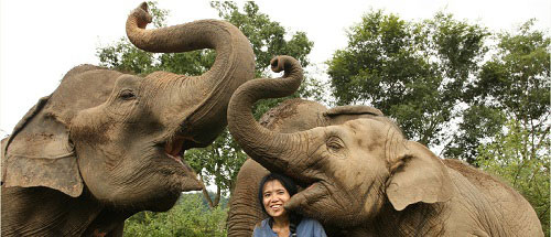 Chiang Mai “đóa hồng phương Bắc” ở Thái Lan - 11