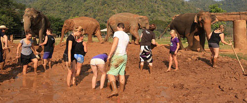 Chiang Mai “đóa hồng phương Bắc” ở Thái Lan - 12