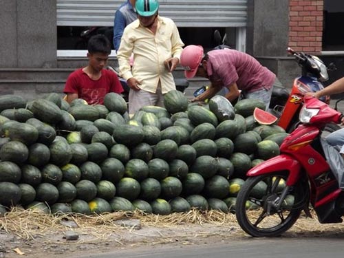 Tp.HCM: Dưa hấu giá rẻ đắt hàng nhờ nắng nóng - 1
