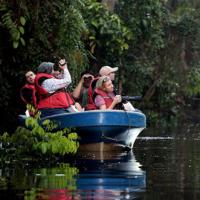 Du lịch - Vương quốc' đười ươi, khỉ mũi dài ở Malaysia