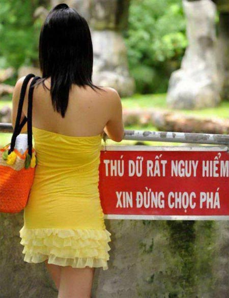 Nào anh em ta cùng nhau "chém" theo chiều gió - 8