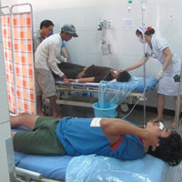 Sức khỏe đời sống - Ăn cá nóc, 3 người nhập viện cấp cứu