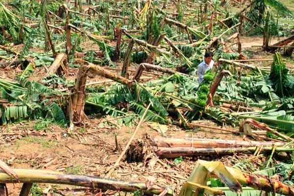 Năm 2014, Việt Nam hứng chịu khoảng 10 cơn bão - 2