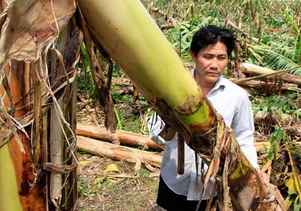 Năm 2014, Việt Nam hứng chịu khoảng 10 cơn bão - 3