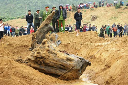 Quảng Bình: Rộ tin đồn dân trúng gỗ sưa tiền tỷ - 1