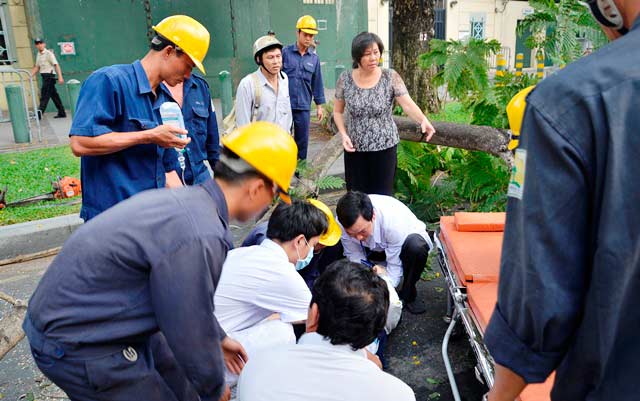 Nhánh cây rơi đè gãy chân người đi đường - 2