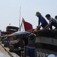 Thị trường - Tiêu dùng - Cá ngừ Việt Nam: Sản lượng cao, đẳng cấp thấp