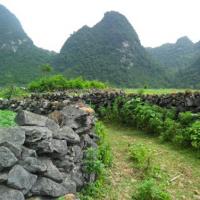 Du lịch - Độc đáo làng "đá” ở Cao Bằng