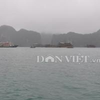 Tin tức trong ngày - Một du khách Anh tử nạn trên Vịnh Hạ Long