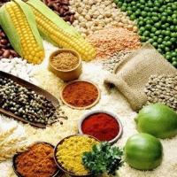 Thị trường - Tiêu dùng - Giá lương thực toàn cầu tăng cao