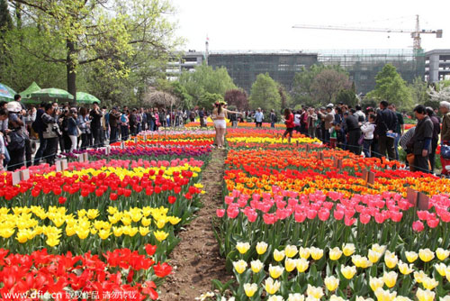 Thiếu nữ Trung Quốc mặc gợi cảm giữa vườn hoa - 4