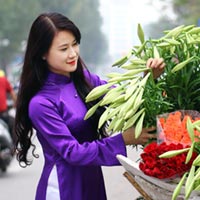 Bạn trẻ - Cuộc sống - Tháng 4, loa kèn dịu mát từng góc phố Thủ đô