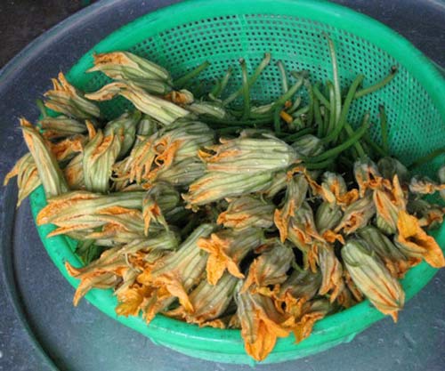 Nhớ... hoa bí của ngày xưa ! - 3