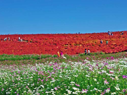 Khám phá 10 thiên đường du lịch trên thế giới - 5