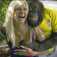 Phi thường - kỳ quặc - Những chú khỉ có sở thích kỳ lạ