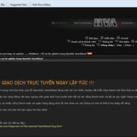 Kinh doanh - Nhiều ngân hàng Việt bị tấn công giao dịch trực tuyến