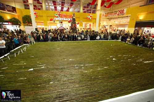 Top 5 kỉ lục Guinness trong tháng 4/2014 - 2