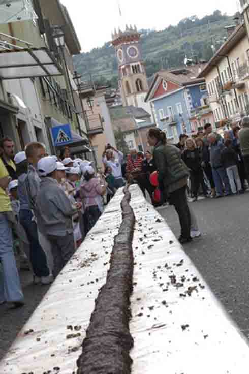 Top 5 kỉ lục Guinness trong tháng 4/2014 - 4