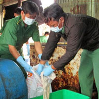 Thị trường - Tiêu dùng - Kinh hoàng lò tẩy trắng trâu bò thối
