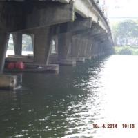 Tin tức trong ngày - Mất tài sản vì nhảy xuống sông vớt người tự tử