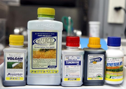 Mẹ cho con 11 tháng uống thuốc diệt cỏ để cùng chết - 1