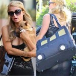 Xu hướng thời trang - Paris Hilton vô tình hớ hênh vì váy mỏng