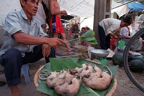 Chuột đồng Việt Nam món ăn rẻ nhất hành tinh - 1