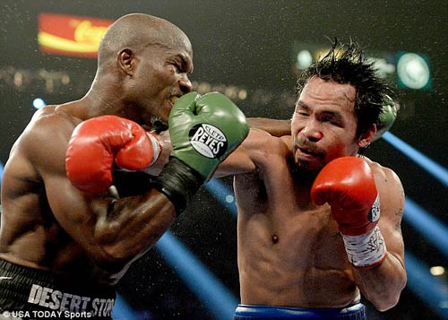 Pacquiao – Bradley: Báo thù ngọt ngào - 3