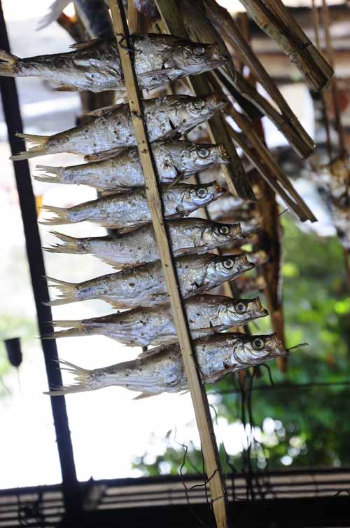 Về Sông Đà ăn cá nướng thơm lừng - 2