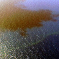 Tin tức trong ngày - Phát hiện vệt dầu loang tại khu vực tìm kiếm MH370