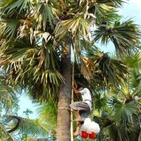 Thị trường - Tiêu dùng - Kiếm tiền với nghề "ăn cơm dưới đất làm việc trên trời"