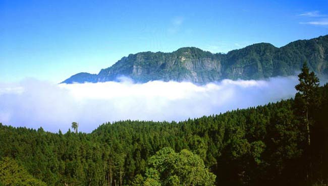 Núi A Lý trực thuộc dãy Ngọc Sơn, có độ cao 2.216 m và là danh thắng nổi tiếng của Đài Loan. Ngọn núi này nằm cách thành phố Gia Nghĩa khoảng 75 km về hướng Đông.
