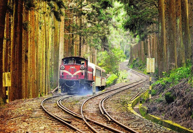 Dù có khung cảnh rất nên thơ và hùng vĩ, nhưng núi A Lý lại không được nhiều người biết đến. Ngọn núi này chỉ thật sự nổi tiếng khi Nhật Bản đầu tư xây dựng tuyến đường sắt xuyên rừng vào năm 1912 để khai thác gỗ hương trên núi.
