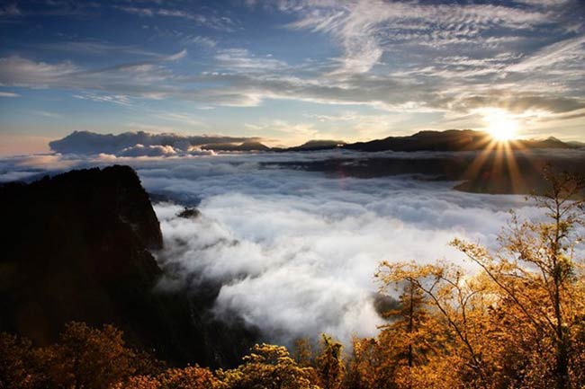 Vào năm 2001, núi A Lý chính thức được công nhận là danh lam thắng cảnh quốc gia, và trở thành một trong những địa danh thu hút khách nhất tại Đài Loan.
