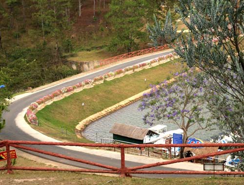 Đà Lạt bâng khuâng mùa phượng tím - 2