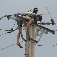 Tin tức trong ngày - Trèo cột điện bắt ong, bị điện giật chết cháy đen