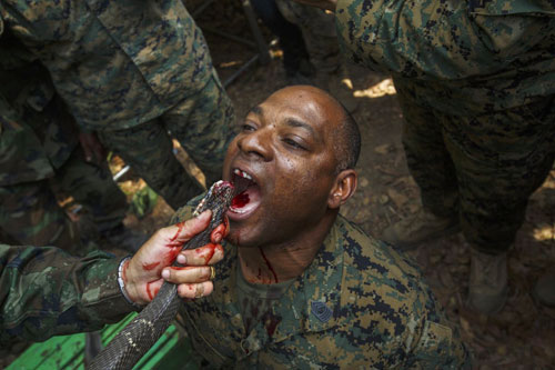 Xem lính Mỹ cắn cổ gà, uống máu rắn, ăn bọ cạp - 1