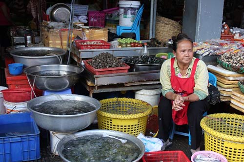 Campuchia những ngày tháng Tư - 13