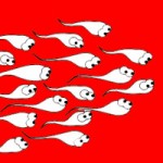 Vụ "nghỉ hưu" khiến "cộng đồng cơ thể" rúng động