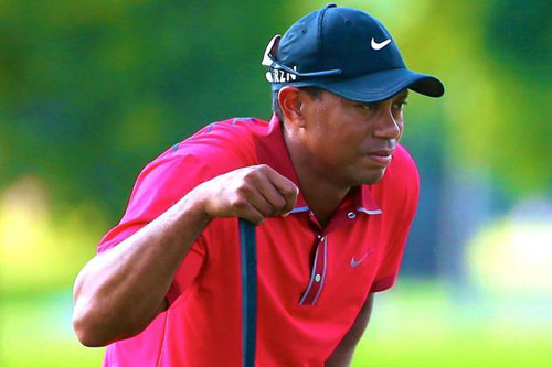 Con số choáng váng cho làng golf nếu thiếu Tiger Woods - 1