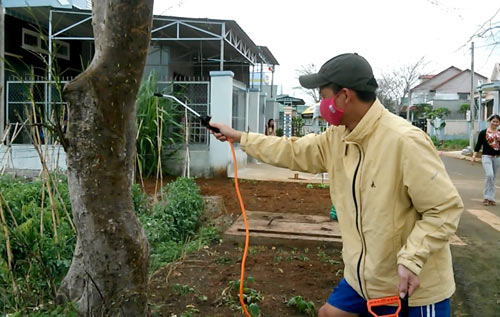 Xác định loài sâu bò lổm ngổm trong nhà dân - 2