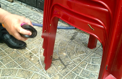 Xác định loài sâu bò lổm ngổm trong nhà dân - 3