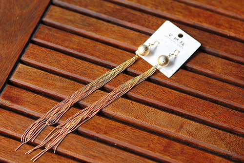 Lục túi hàng hiệu của người đẹp Hoàng Ny - 14